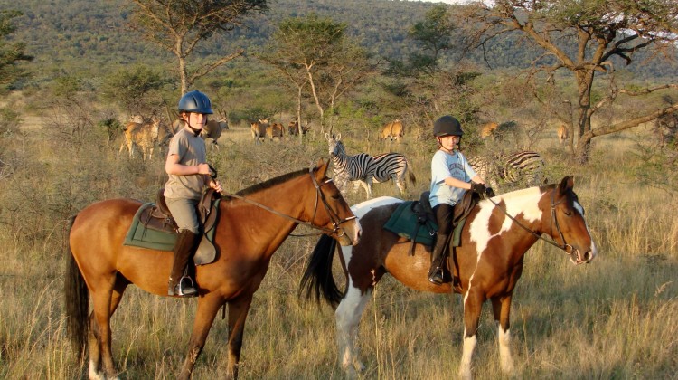 10 African Riding Safaris for Beginners