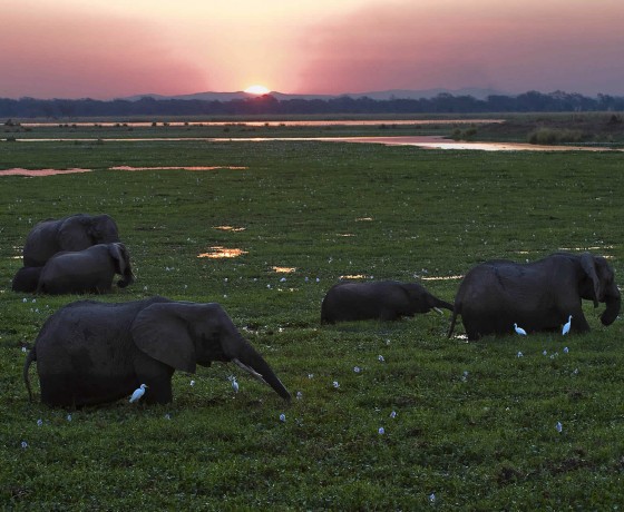 Mana Pools, a magnet for the adventurous