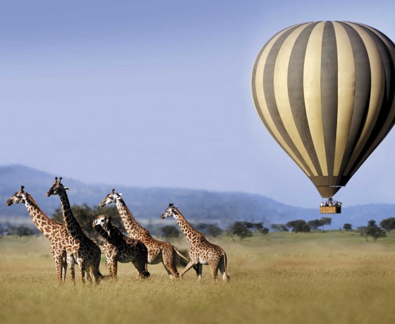 Balloon safaris