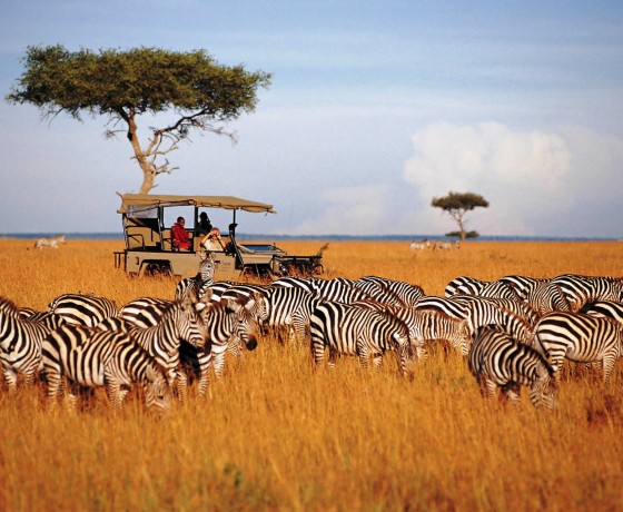 Big five spotting in the Masai Mara