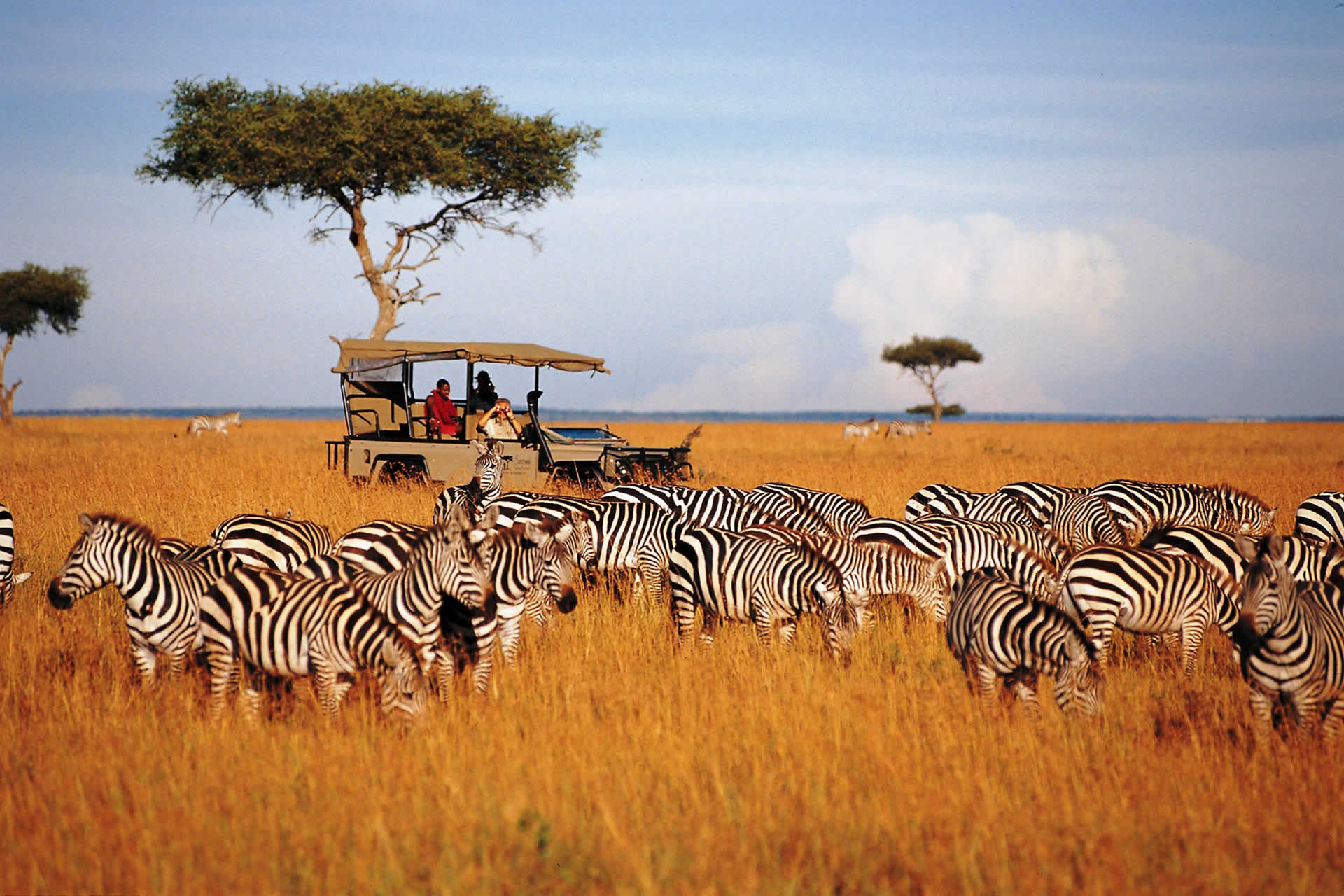 Kenya Home To The Masai Mara And Big 5 Safaris