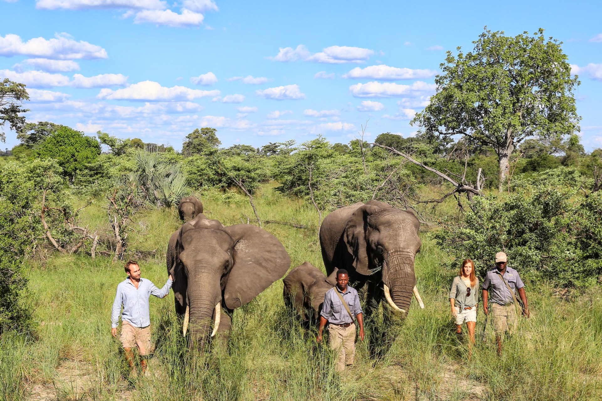 safari time in botswana