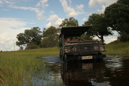professional safari guide courses