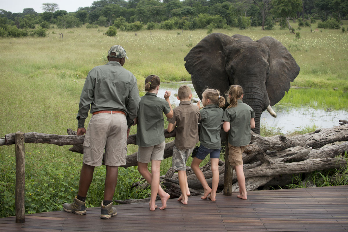Planning the perfect family safari 