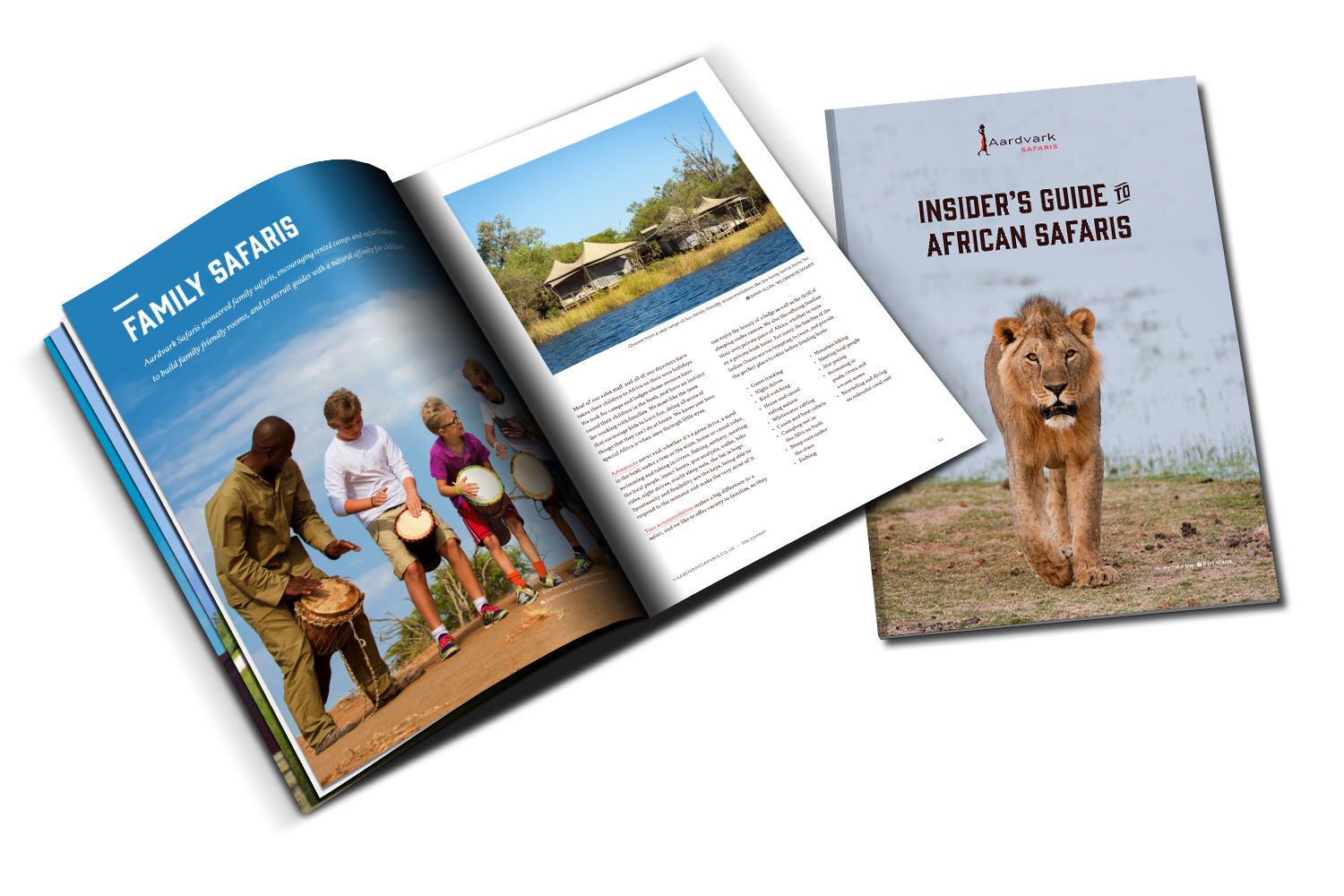 Insider Guide to African safaris - Family safaris