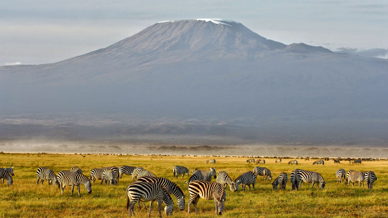 Komprimere indhold bodsøvelser 5 Top Tips for Climbing Mount Kilimanjaro - Aardvark Safaris