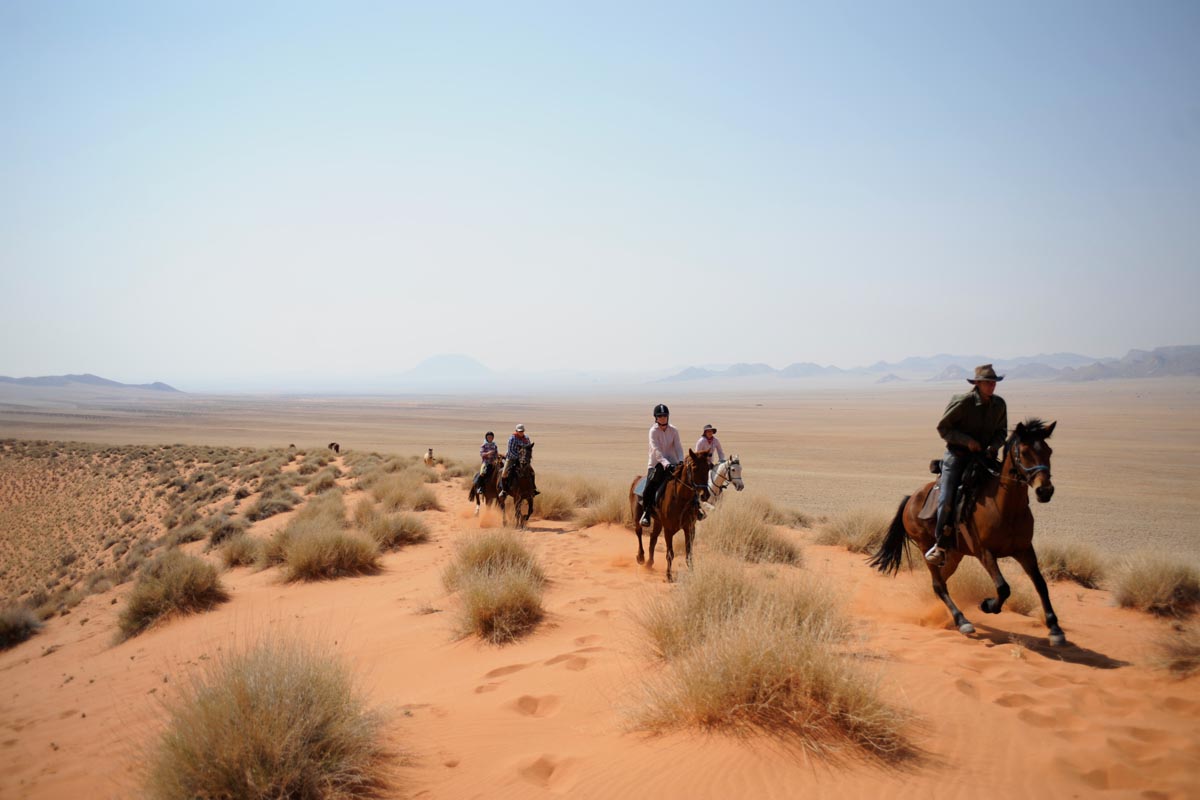 Damaraland Elephant Ride galloping in the desert, Namibia Horse Safaris