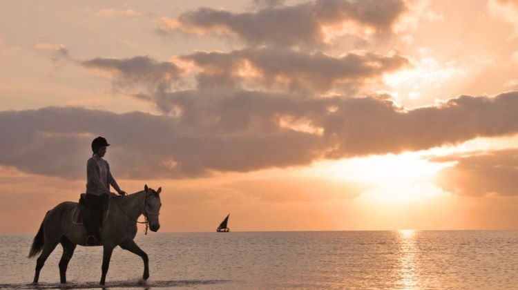 Riding in Africa's untouched wilderness - Aardvark Safaris
