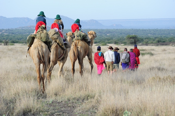 Safaris are not strenuous 