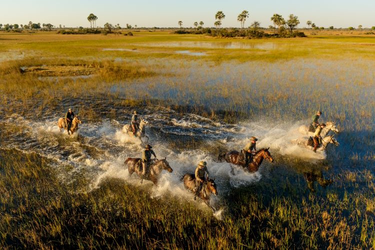 Get active riding on safari in Africa