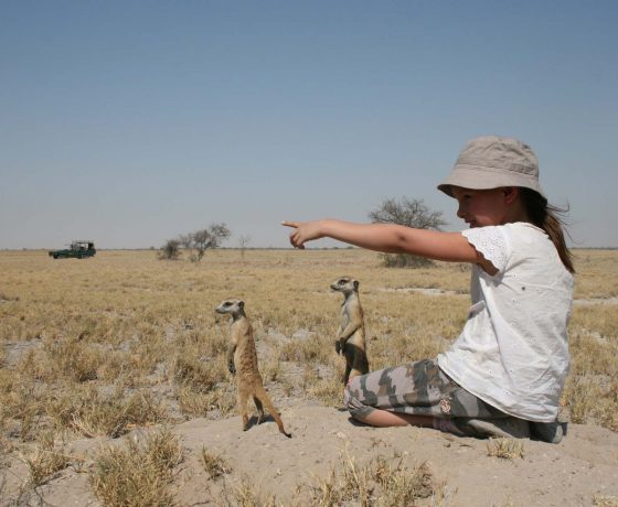 Fun with semi-habituated meerkats in the Makgadikgadi Pans