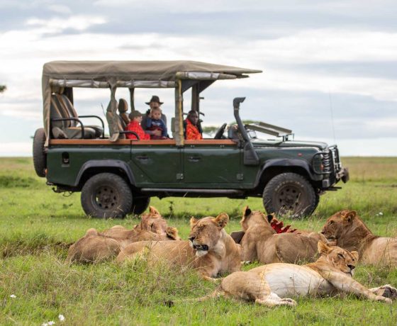 Game drive at House in the Wild 