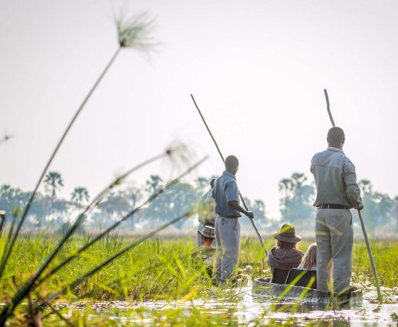 Mokoro trips through the Okavango Delta