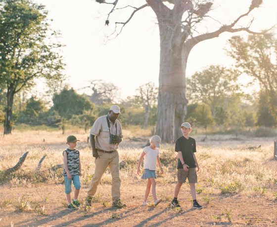 Sundowners in the South Luangwa Valley