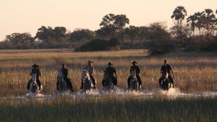 Riding Safari Blog Round Up