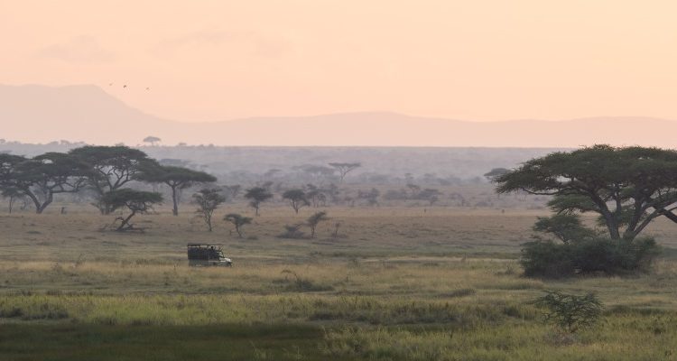 wild Tanzania
