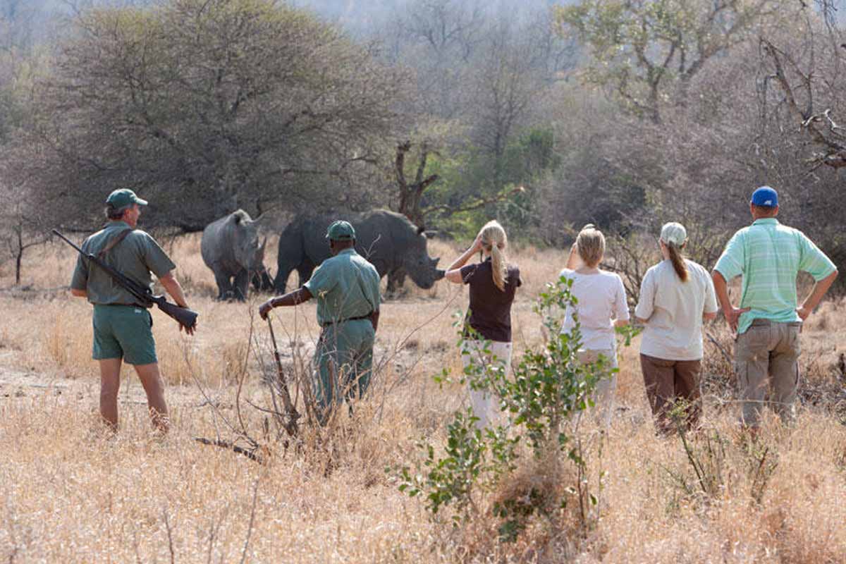 Best places to see Rhino in Africa