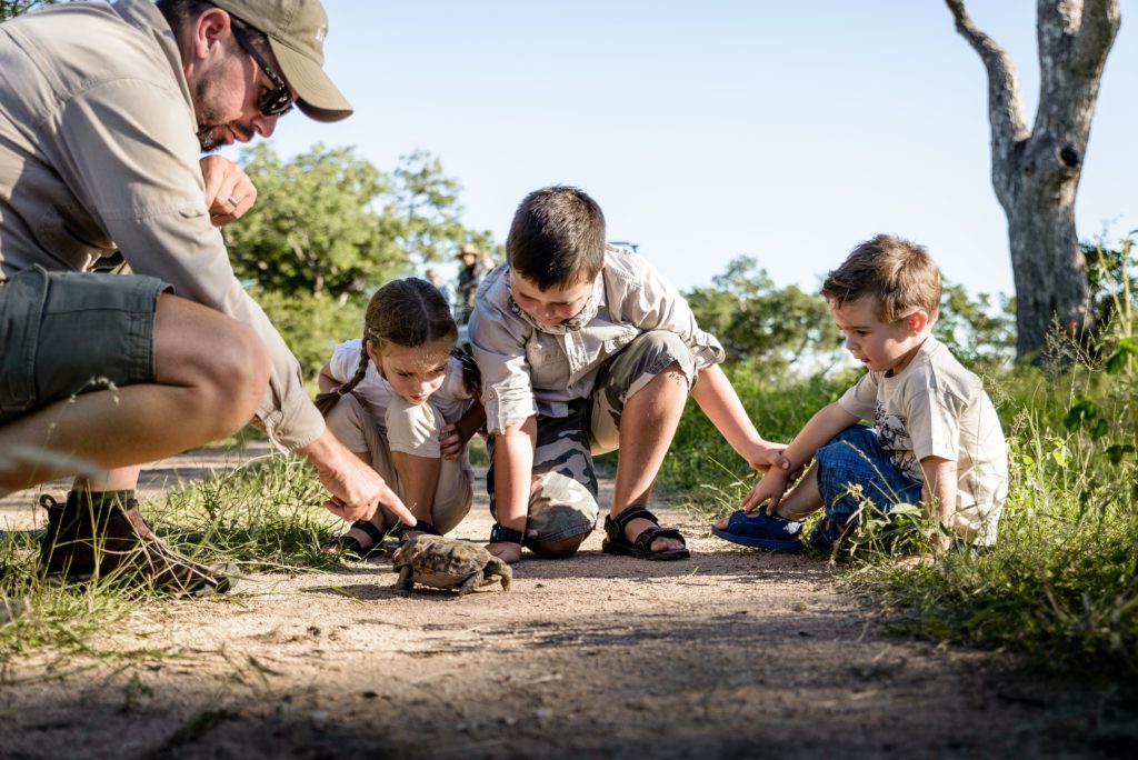 What makes a child friendly safari 