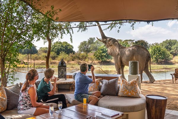 safari planning with the experts 
