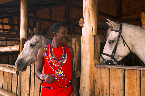 Horses with a groom 