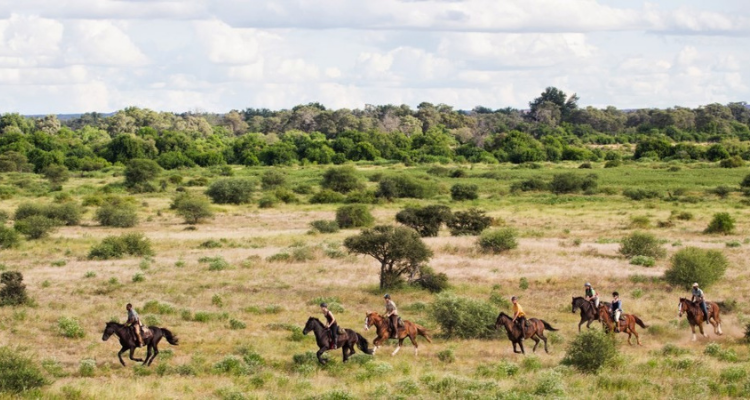 ‘Riding Safaris’ – myths busted