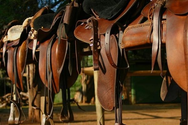 saddles 