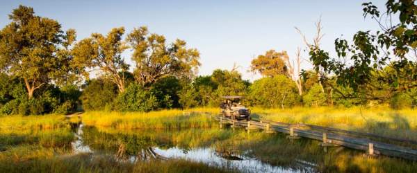 Botswana Cycling - Day 5 wildlife drive