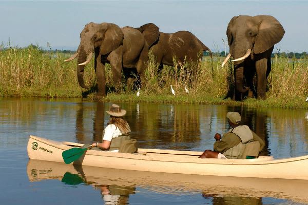 Canoeing in Lower Zambezi National Park