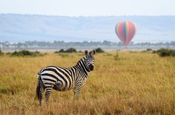 Hot air ballooning safari Masi Mara Kenya