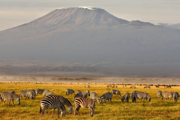 View of Mount Kilimanjaro 