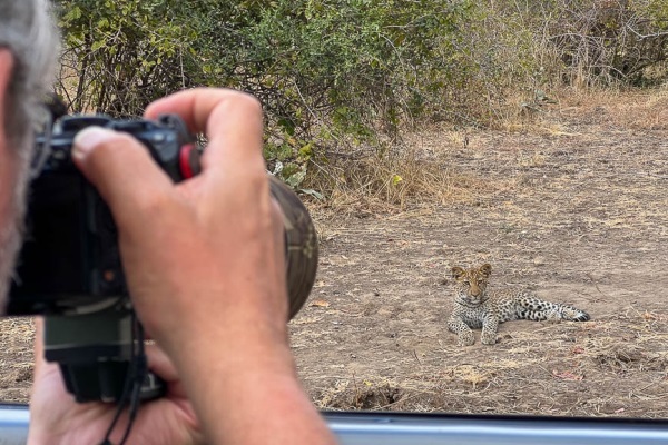 Photography safari 