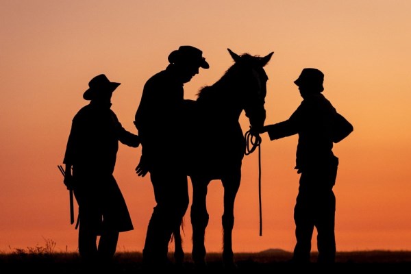 Horse sunset in Namib