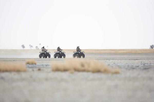 Three quad bikes travel left to right in the mid distance across a salt pan with a small amount of scrubby vegetation in the foreground and a small number of out of focus palms in the distance