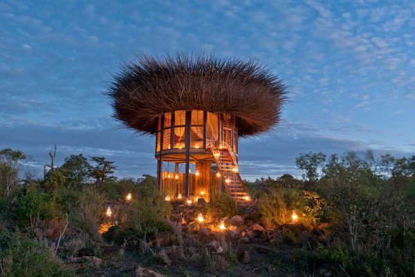 A treehouse type structure, lit up at night, with a ladder going to the first floor and a roof area that looks like a bird's nest