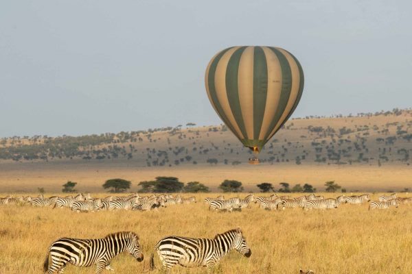 Hot air balloon and Serengeti