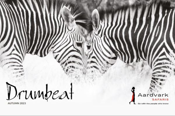 Drumbeat Autumn Newsletter 2023