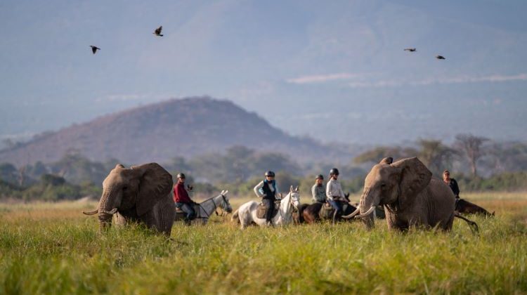 Riding safaris for all abilities